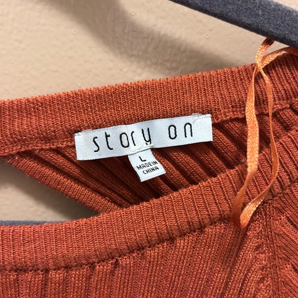 Story On Rust Ribbed Knit Dress - Picture 2 of 3